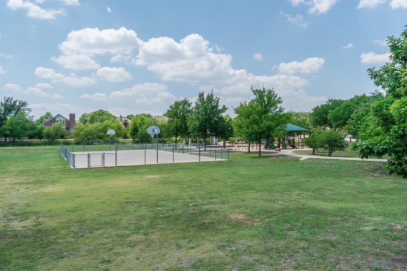 313 Mimosa Drive, Murphy TX 75094 - Photo 37