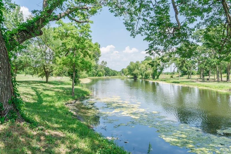 313 Mimosa Drive, Murphy TX 75094 - Photo 40