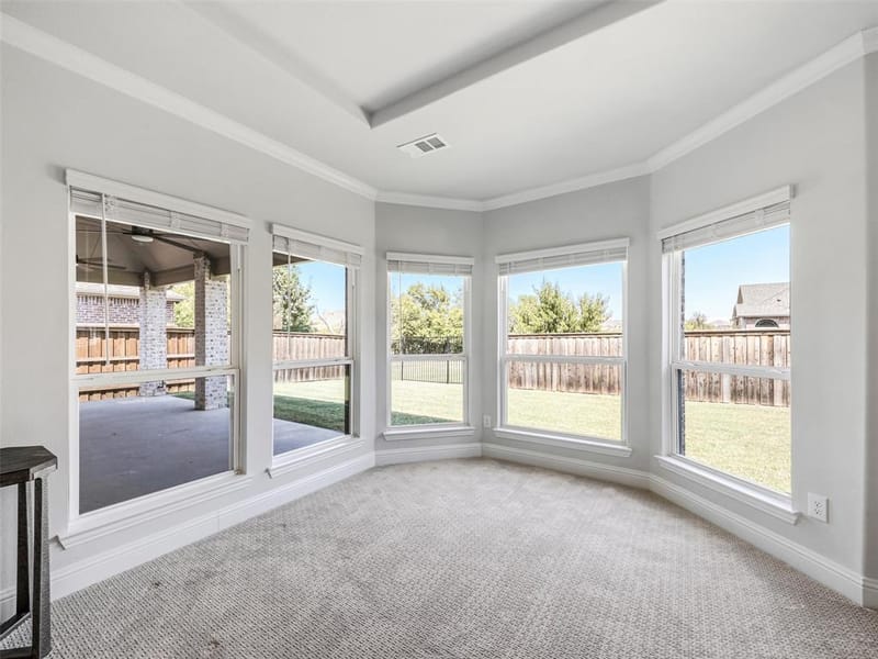 3616 Bennett Trail, Celina TX 75009 - Photo 20