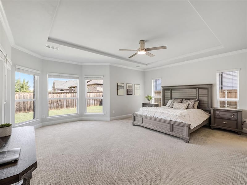 3616 Bennett Trail, Celina TX 75009 - Photo 19