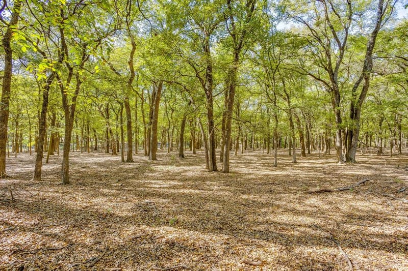 6201 E Fm 4, Grandview TX 76050 - Photo 9