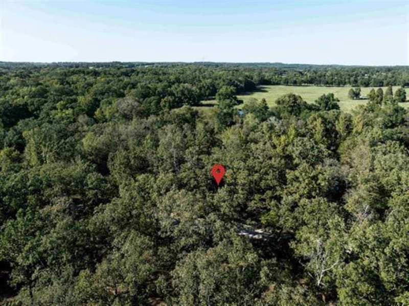 655 Dogwood Drive, Murchison TX 75778 - Photo 25