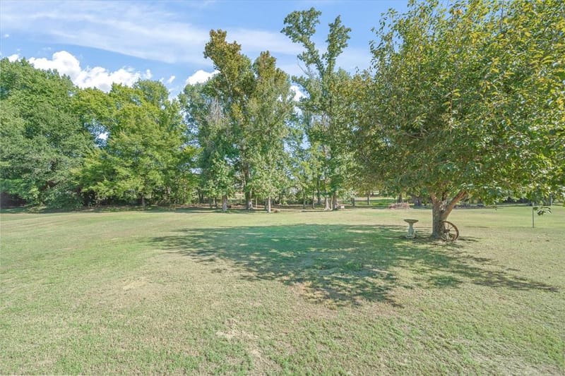 201 Vz County Road 4136, Canton TX 75103 - Photo 31
