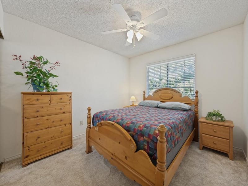 2705 Micarta Drive, Plano TX 75025 - Photo 20