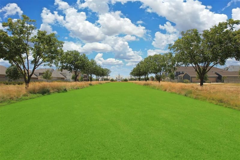 2809 Starlight Trail, Northlake TX 76247 - Photo 18