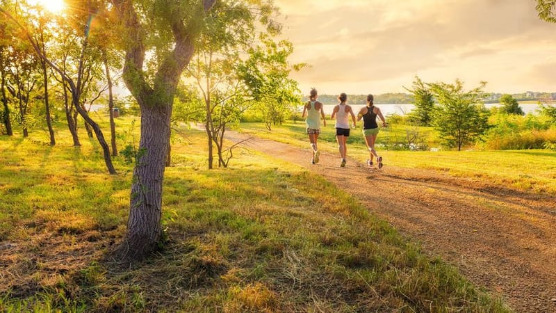 1224 Sebastian Road, The Colony TX 75056 - Photo 7