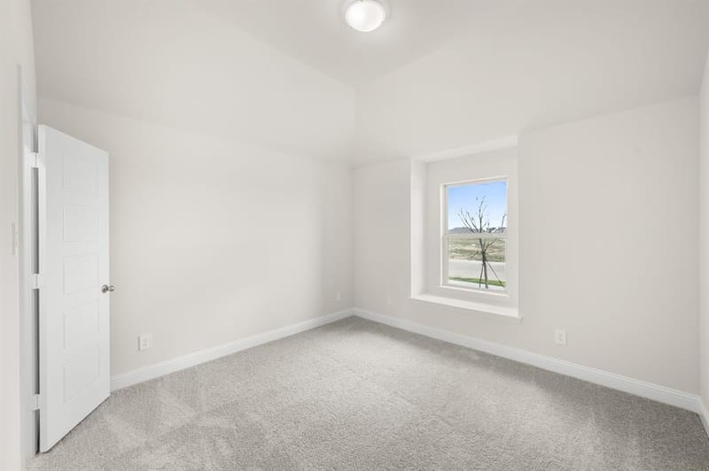 1123 Nighthawk Drive, Justin TX 76247 - Photo 24