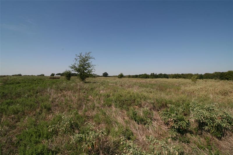 28084 Fm 47, Canton TX 75103 - Photo 5