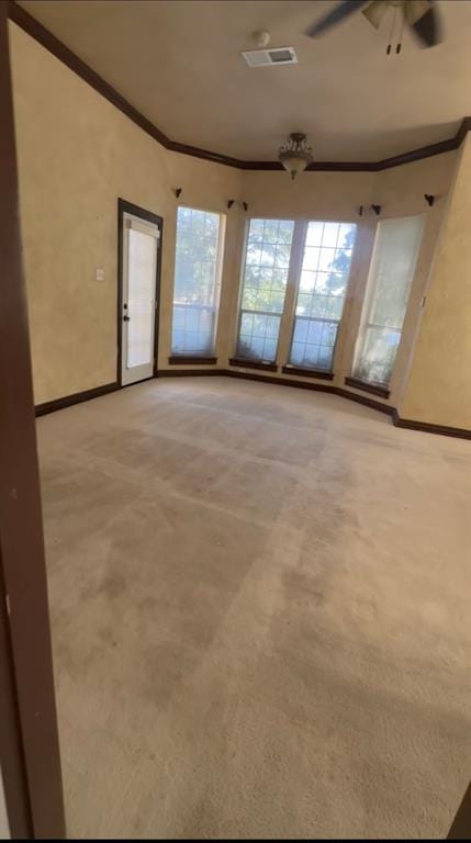 6542 Potomac Parkway, Arlington TX 76017 - Photo 10