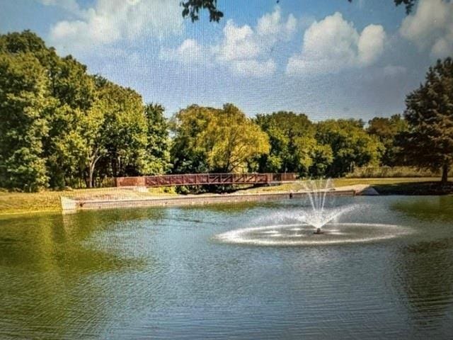 1601 Long Prairie Court, Allen TX 75002 - Photo 22