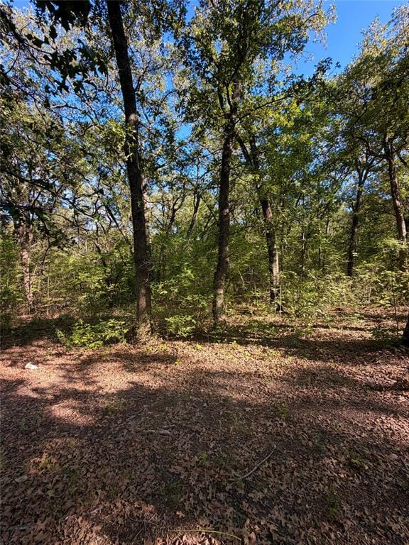 9460 Amy Drive, Hawk Cove TX 75474 - Photo 15