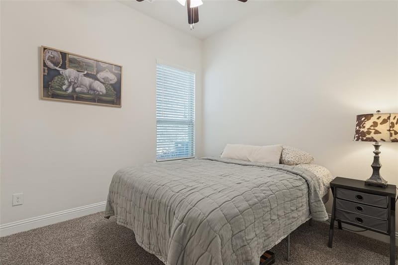 7324 Snapdragon Court, Little Elm TX 76227 - Photo 22