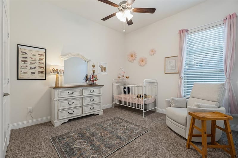 7324 Snapdragon Court, Little Elm TX 76227 - Photo 21