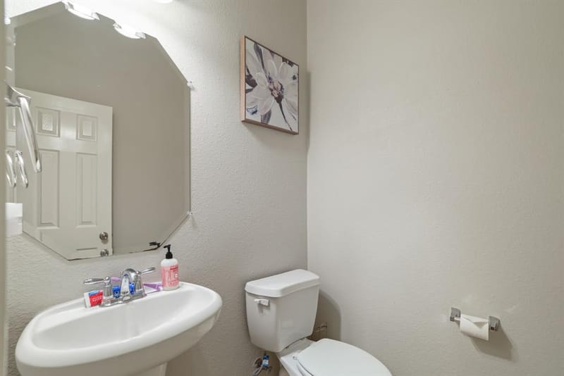 1213 Egret Court, Little Elm TX 75068 - Photo 12