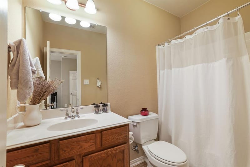 1213 Egret Court, Little Elm TX 75068 - Photo 26
