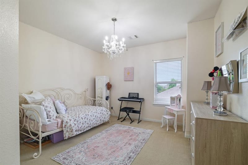 1213 Egret Court, Little Elm TX 75068 - Photo 22