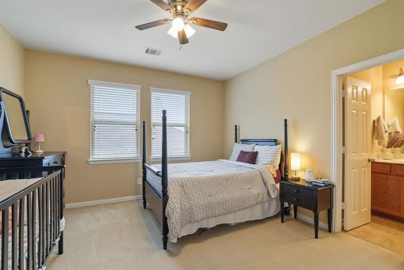 1213 Egret Court, Little Elm TX 75068 - Photo 28