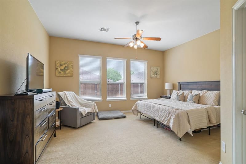 1213 Egret Court, Little Elm TX 75068 - Photo 19