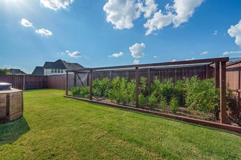 2721 Old Shire Path Road, Prosper TX 75078 - Photo 36