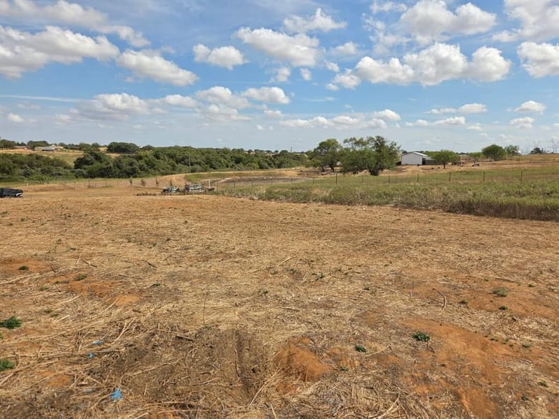 359 County Road 4791, Boyd TX 76023 - Photo 10