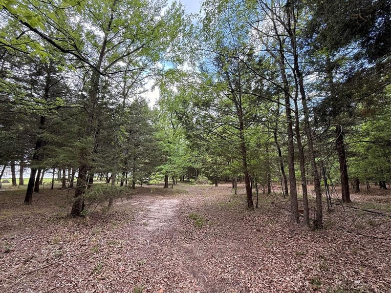 6435 FM 17 LOTS 68-77, Yantis TX 75497 - Photo 32