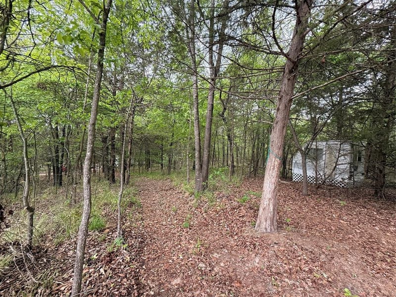 6435 FM 17 LOTS 68-77, Yantis TX 75497 - Photo 28