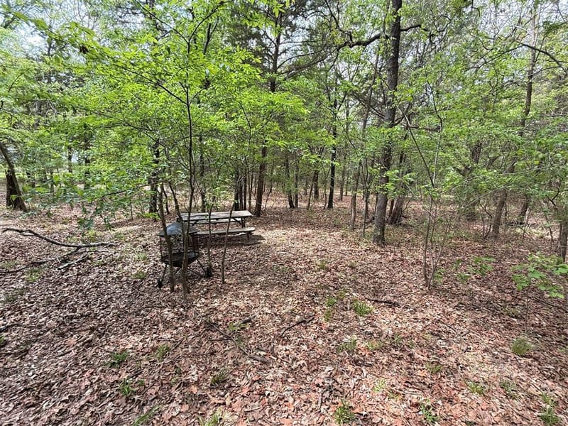 6435 FM 17 LOTS 68-77, Yantis TX 75497 - Photo 14