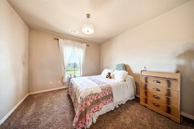 12411 Strittmatter Road, Pilot Point TX 76258 - Photo 23