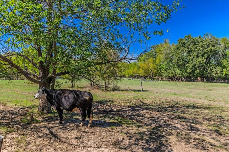 1586 County Road 4133, Cumby TX 75433 - Photo 17