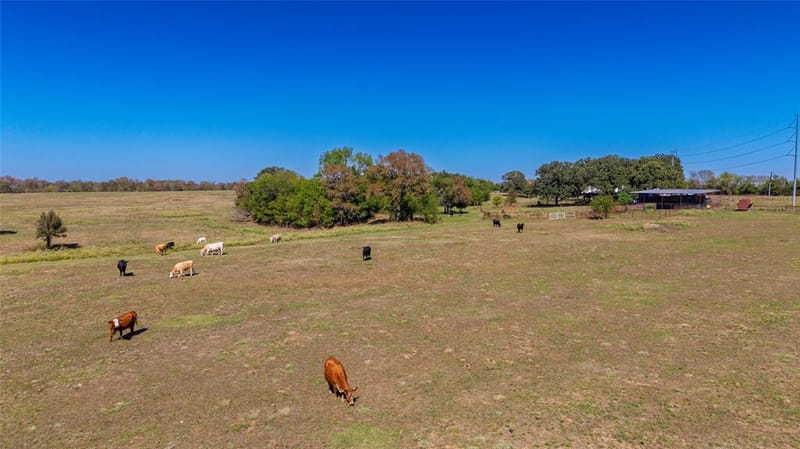 1586 County Road 4133, Cumby TX 75433 - Photo 10