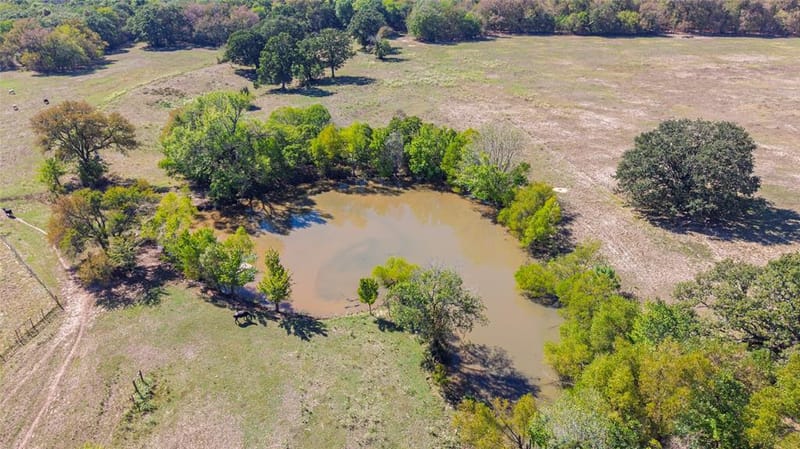 1586 County Road 4133, Cumby TX 75433 - Photo 8