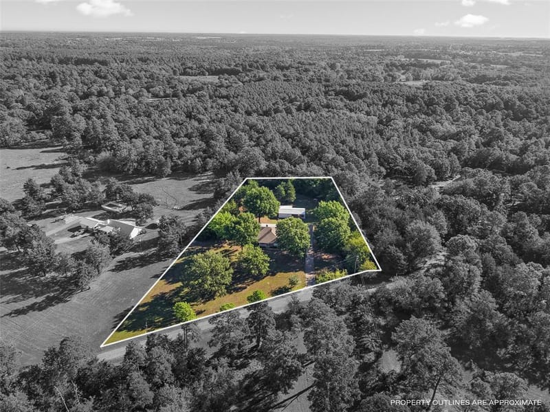 257 SE County Road 4280, Mount Vernon TX 75457 - Photo 36