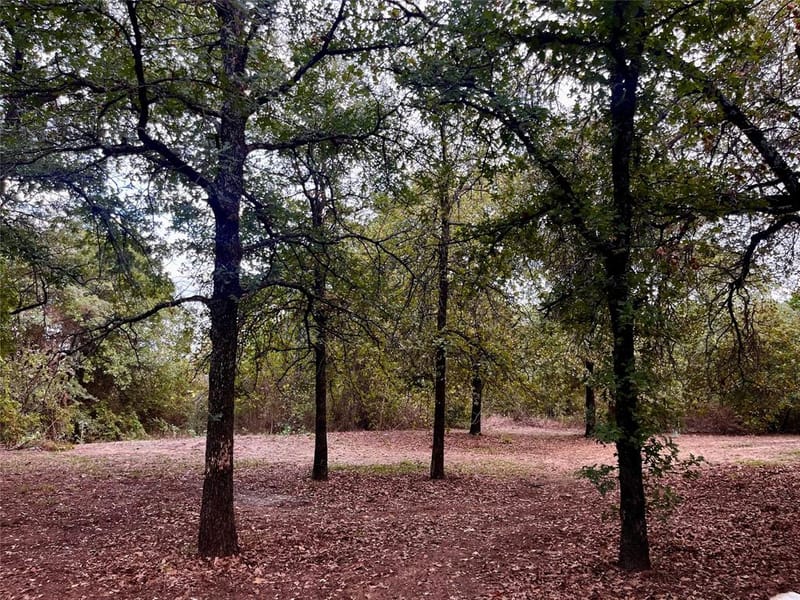 4410 County Road 317, Cleburne TX 76031 - Photo 14