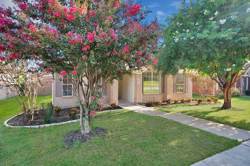 4524 Highridge Drive, The Colony TX 75056 - Photo 33