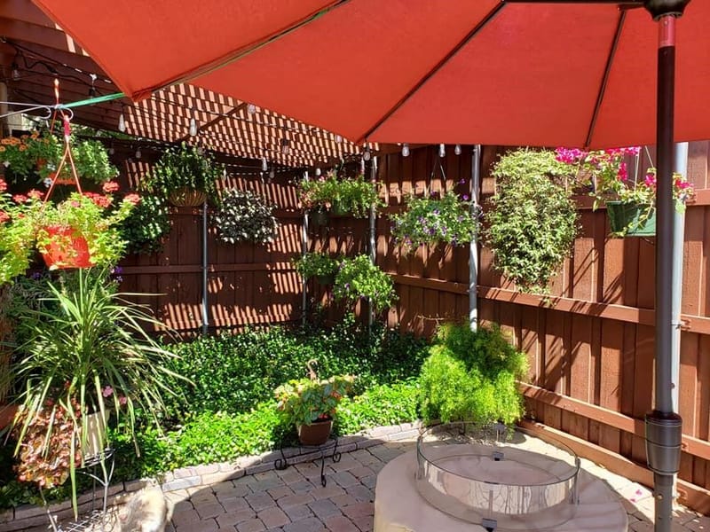 2800 Keller Springs Road # 8C, Carrollton TX 75006 - Photo 24