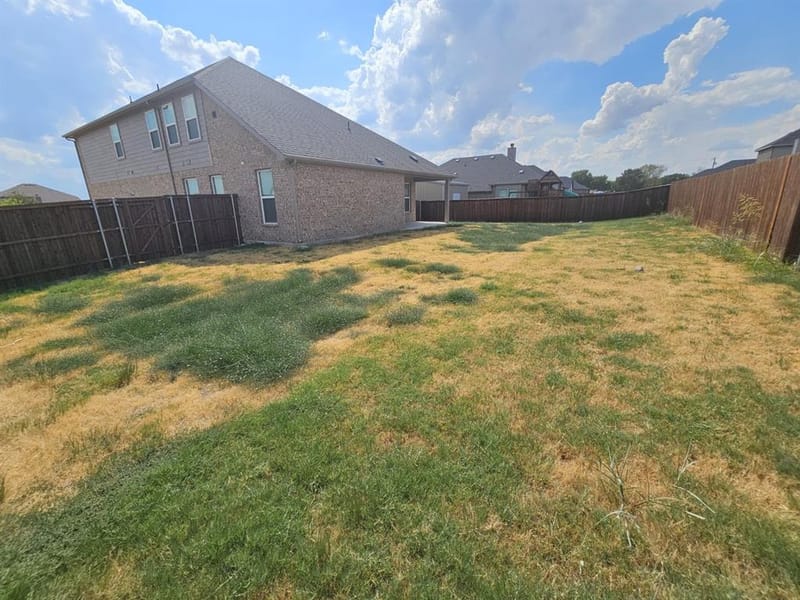 821 Wolf Springs Road, Ferris TX 75125 - Photo 4