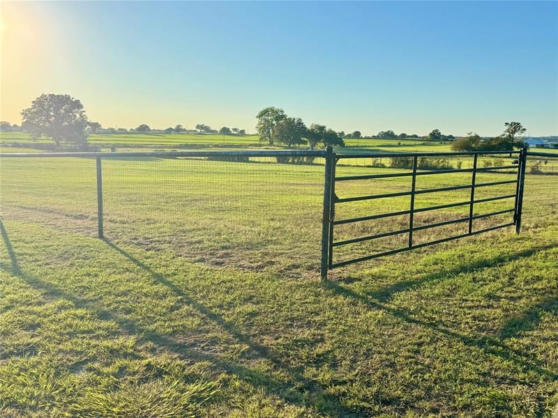 6101 Wild Cat Knob Road, Tolar TX 76476 - Photo 6