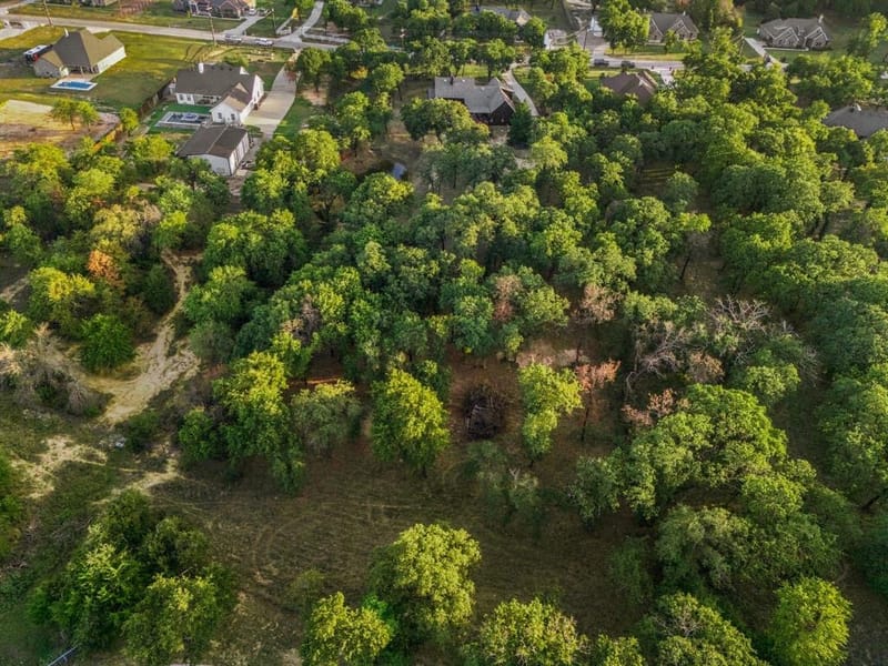 316 Zion Forest Trail, Poolville TX 76487 - Photo 6