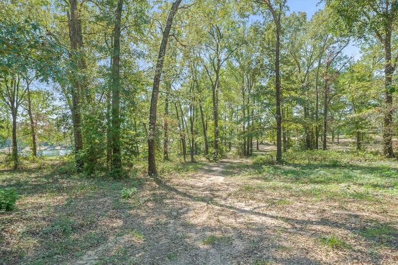 1143 VZ County Road 4602, Ben Wheeler TX 75754 - Photo 40