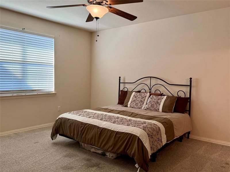 236 Bexar Drive, Lewisville TX 75067 - Photo 14