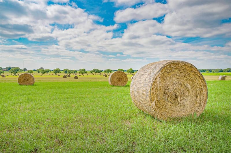 Lot 3 3019 Orchard Road, Bowie TX 76230 - Photo 21