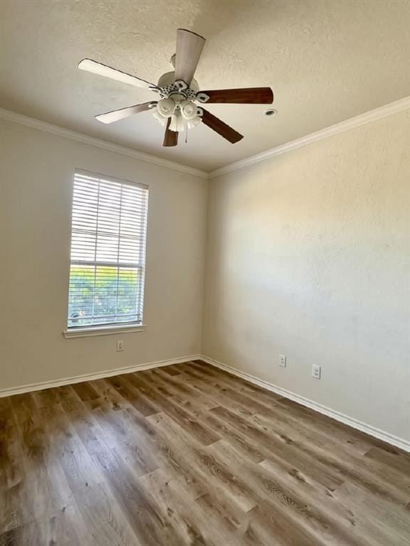 5429 Norris Drive, The Colony TX 75056 - Photo 6