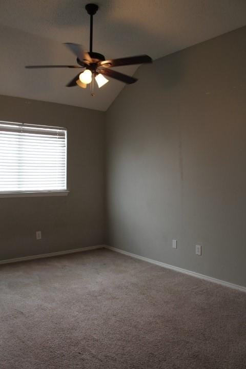 6705 Northland Drive, Fort Worth TX 76137 - Photo 9