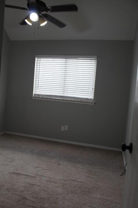 6705 Northland Drive, Fort Worth TX 76137 - Photo 11