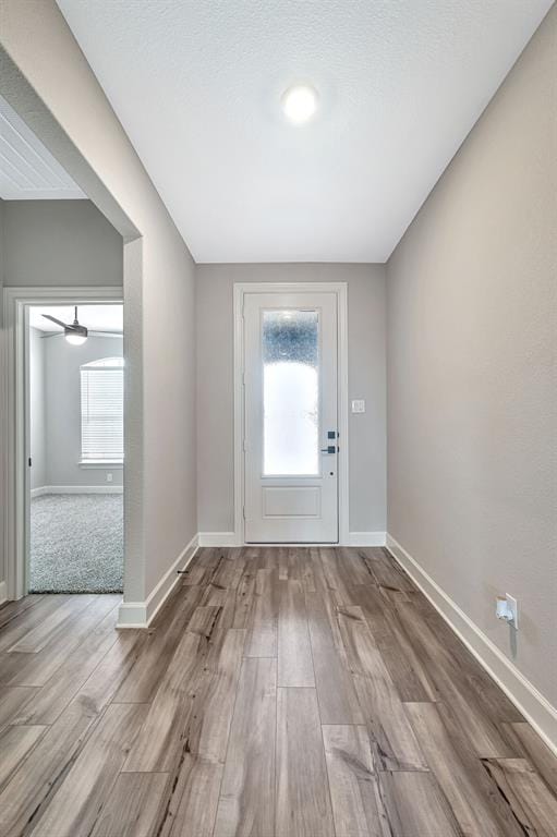 829 Calhoun Drive, Anna TX 75409 - Photo 6
