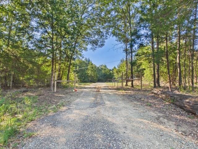 9480 DOUBLE BRIDGE Road, Payne Springs TX 75156 - Photo 12