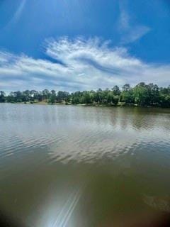 517 Private Road 7908, Hawkins TX 75765 - Photo 8