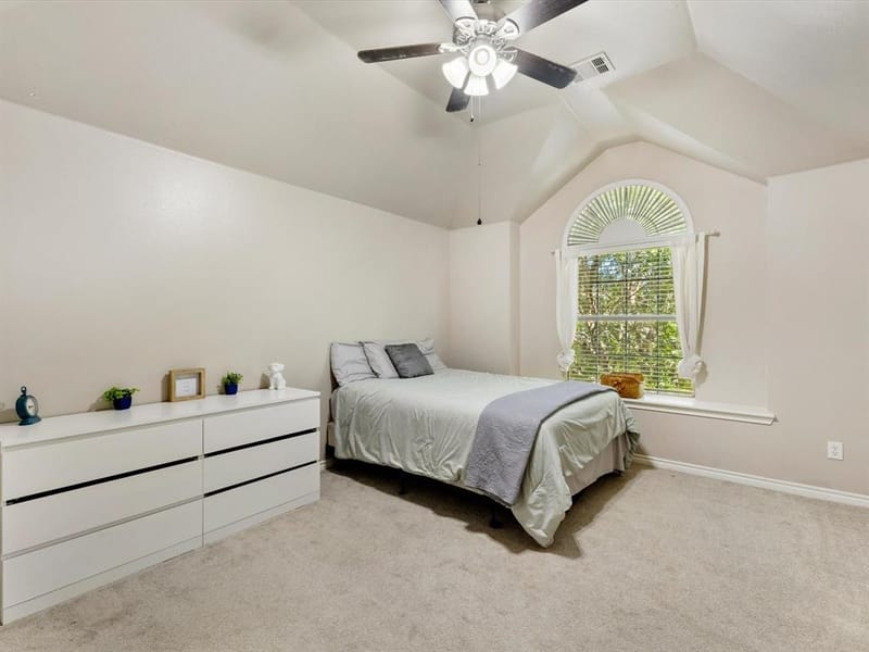 809 Stanford Drive, Murphy TX 75094 - Photo 26