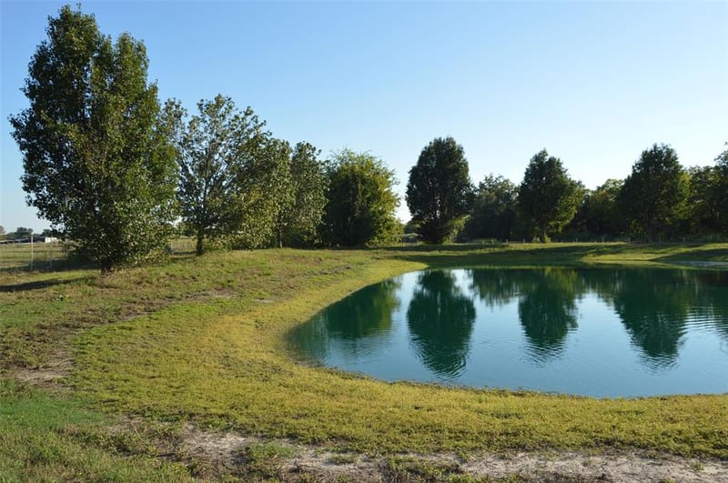 3345 County Road 1125, Farmersville TX 75442 - Photo 31