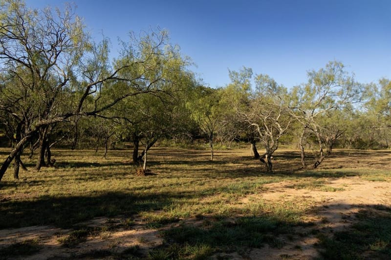 460 County Road 190, Comanche TX 76442 - Photo 37